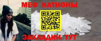 индика Новодвинск