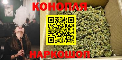 дмт Новокубанск