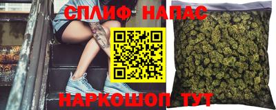 индика Новодвинск