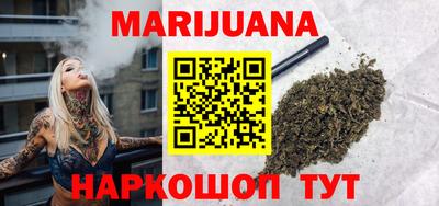 индика Новодвинск