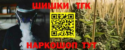 индика Новодвинск