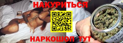 индика Новодвинск