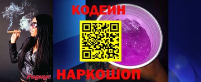 индика Новодвинск