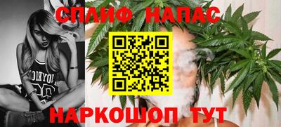 индика Новодвинск