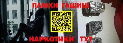 индика Новодвинск