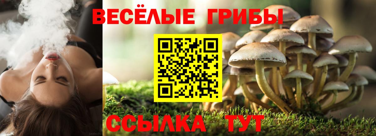 Самара  Псилоцибиновые грибы MAGIC MUSHROOMS  Псилоцибиновые грибы Cubensis  Вход с VPN 